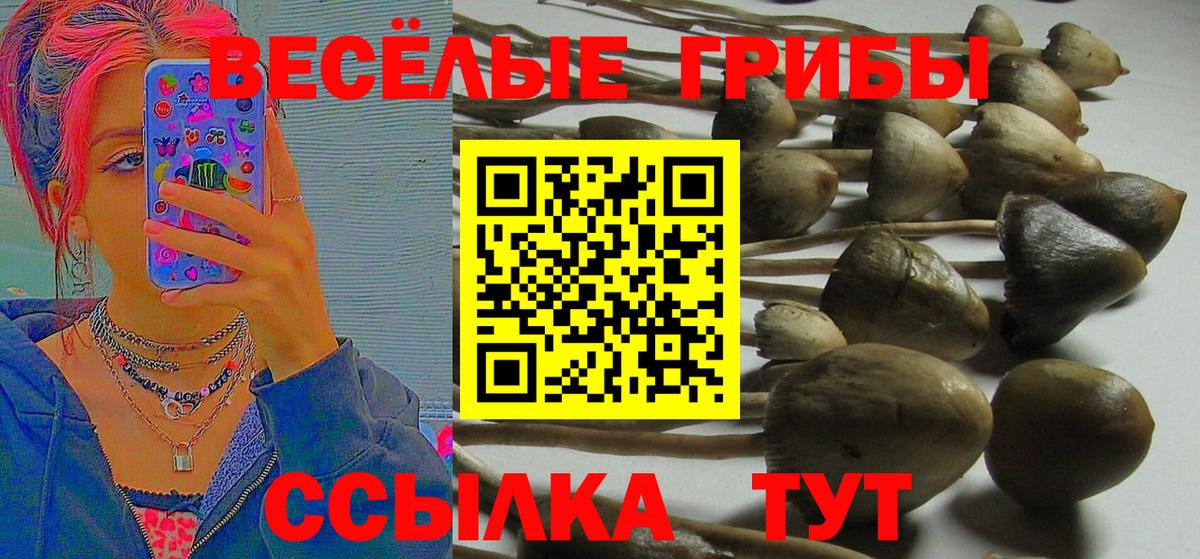 Псилоцибиновые грибы ЛСД  Вход с VPN  Камышин 